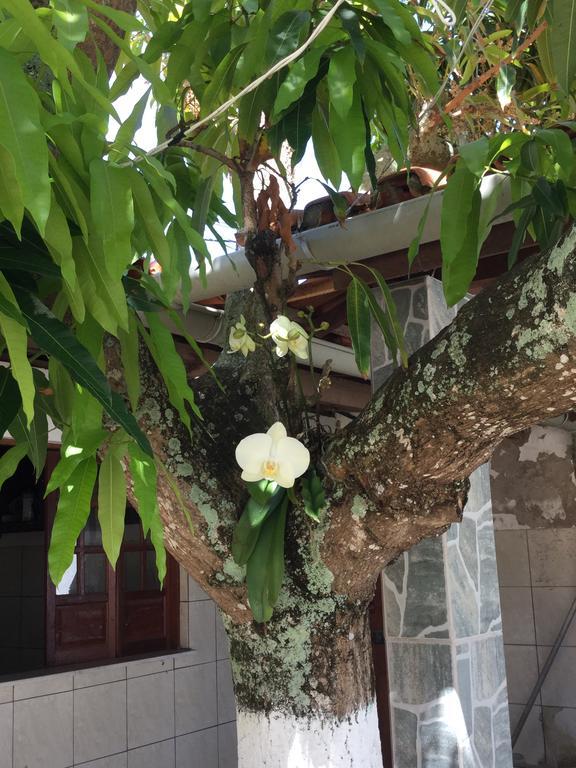 Pousada da Mércia - Itapuã  Salvador de Bahía Exterior foto